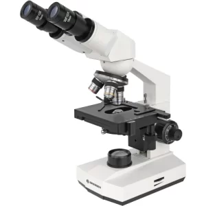 Microscope